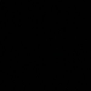 Meet your Posher, Avery